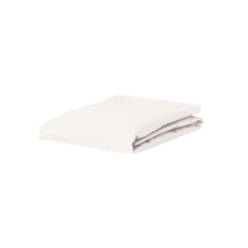 Essenza Laken Premium Percale Oyster