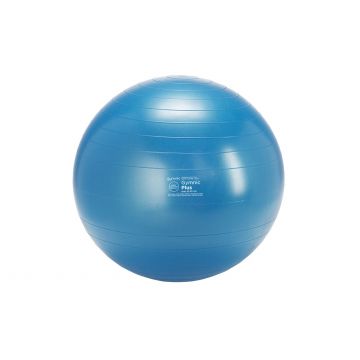 Gymnic Plus Blauw