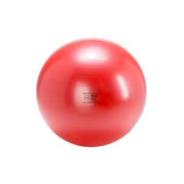 Gymnic Body Ball