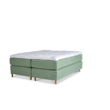 Dorbien Green Continental 2
