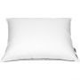 Polydaun 15% Dons Hoofdkussen En 12934 60 x 70 cm