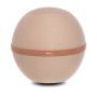 Bloon Paris Original Rose Pastel